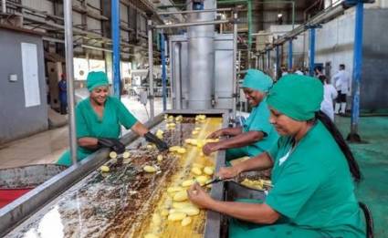 Fruta, industria y resiliencia: así produce Ceballos en Ciego de Ávila