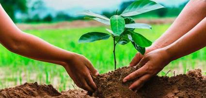 Tarea Vida y agricultura, nexos imprescindibles