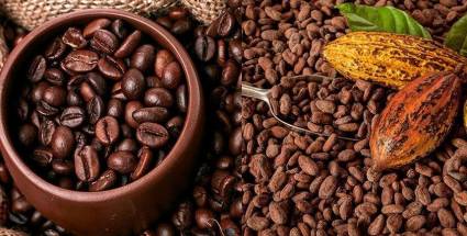 Baracocoa, delicias que se anuncian