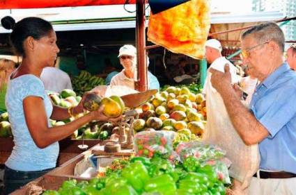 Nueva normativa  perfecciona comercialización agropecuaria y forestal