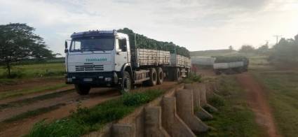 La Cuba sigue marcando el paso en la agricultura cubana