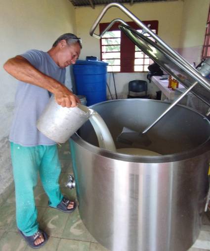 Dictan regulaciones para comercialización de leche