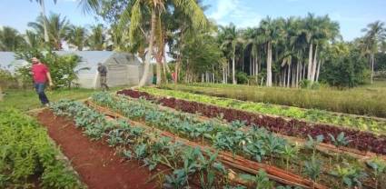 Cuba avanza  hacia ley de la tierra