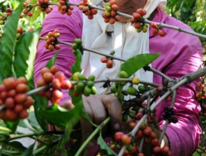 Tiempos de café